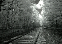 DSCN2579 copy  Morristown & Erie Railway, Chester Branch #1 : NJ, Landscapes, Infrared, 2-Stars